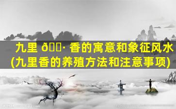 九里 🌷 香的寓意和象征风水(九里香的养殖方法和注意事项)
